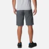 Pantalones cortos cargo Silver Ridge™ para hombre Pantalones cortos cargo Silver Ridge™ para hombre